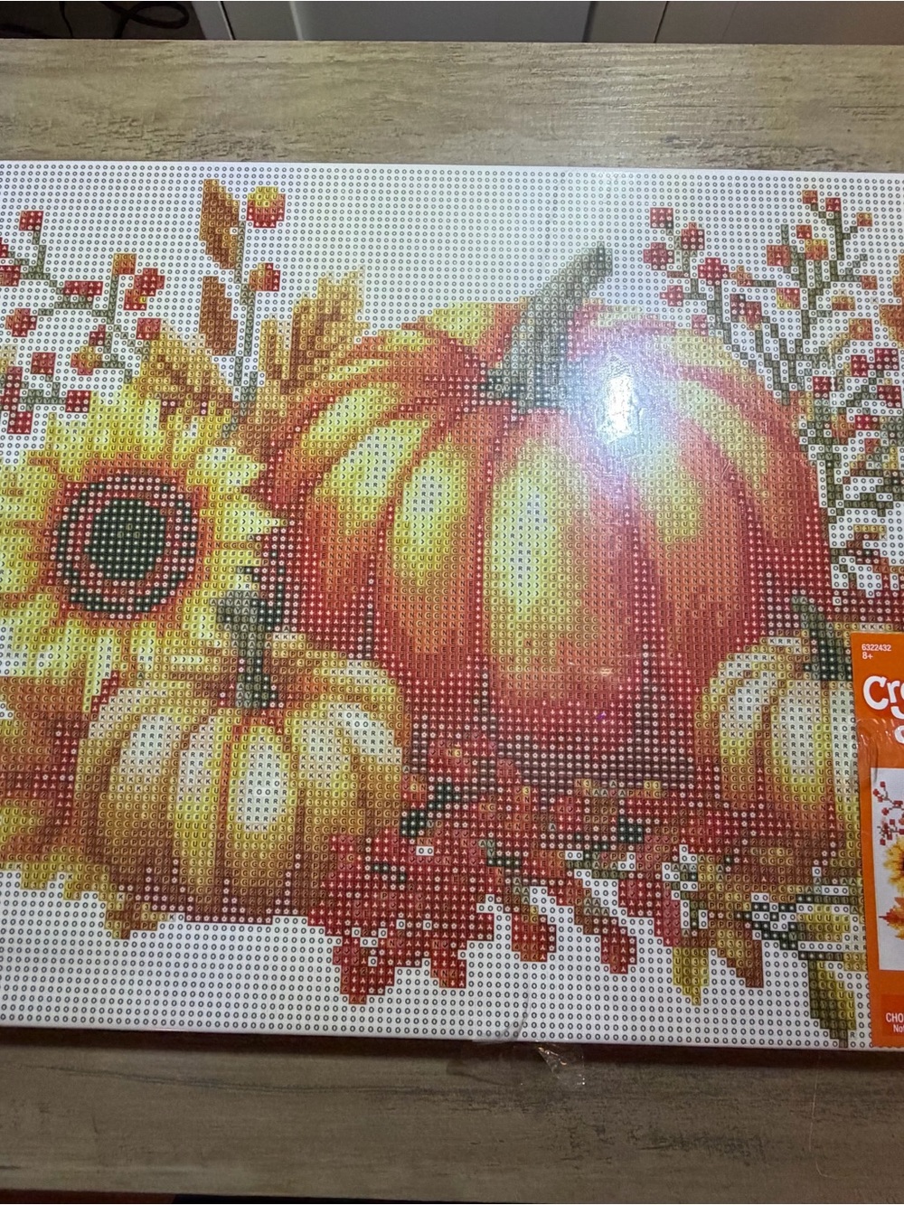 🆕💜Creative Life Pumpkin & Sunflower Diamond Art Kit Complete Fall Harvest